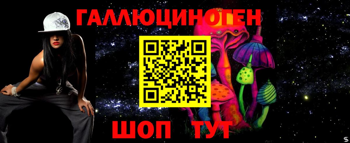 Людиново  Псилоцибиновые грибы Cubensis  Вход с VPN 